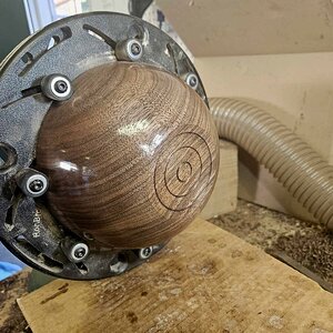 Walnut 2b.jpg