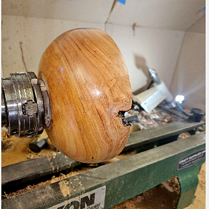Maple001a.png