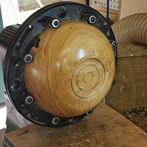 Maple 01b.jpg