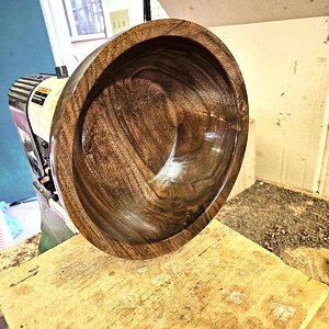 Walnut 3g.jpg