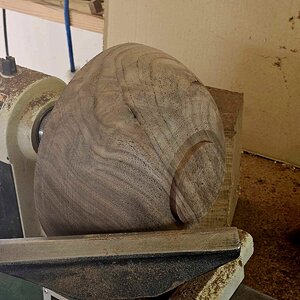 Walnut 3b.jpg