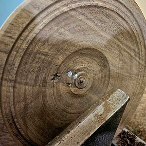 Walnut 3d.jpg