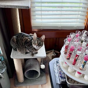 IMG_8204.jpeg