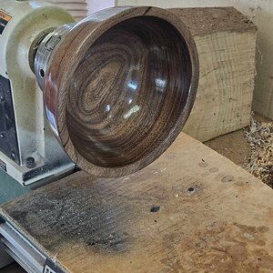 Walnut 4a.jpg