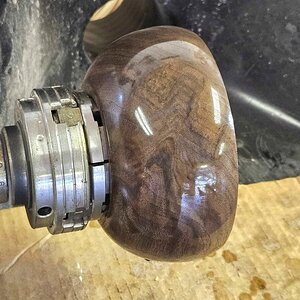 Walnut 6a.jpg
