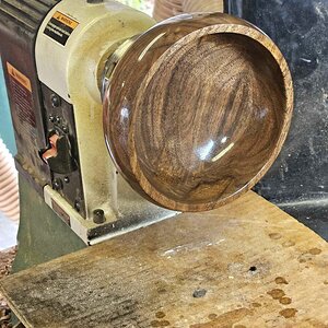 Walnut 6b.jpg