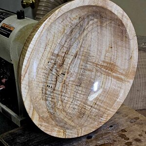 Maple 02b.jpg