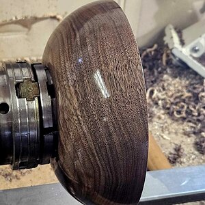 Walnut 902b.jpg