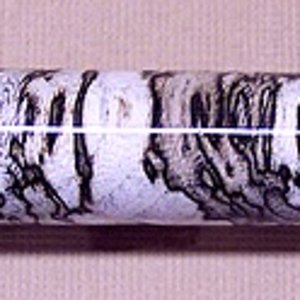 Zen with Hackberry
