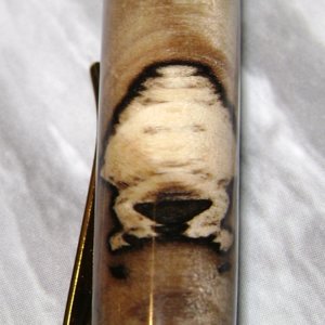 spalted maple stabilized cigar 3