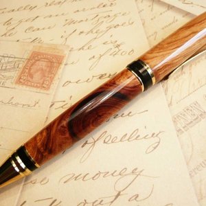 Cigar in cypress pine