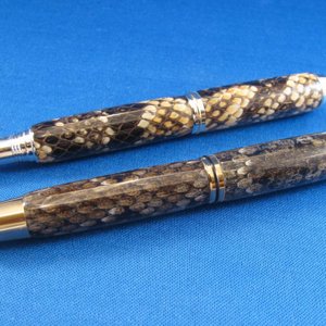 Rattlesnake and water Moccasin