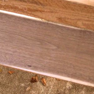 Black walnut