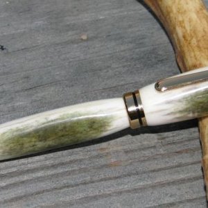 Green Deer Antler