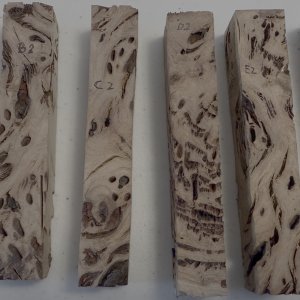 Side 2.jpg