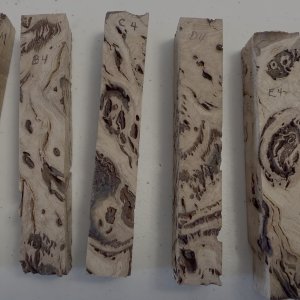 Side 4.jpg