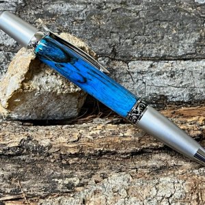 Pen 1.jpg
