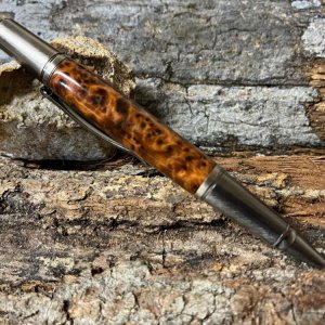 Pen 3.jpg