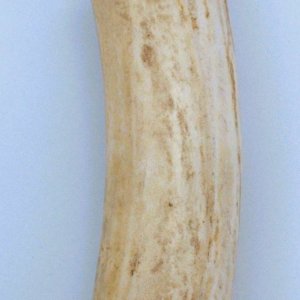 DSC_1216.JPG