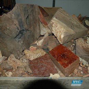 Burl Bin