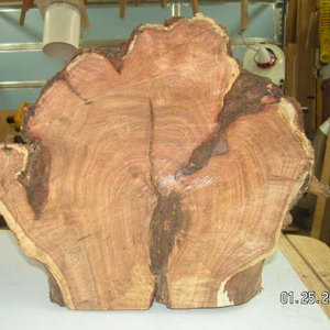 Burl One