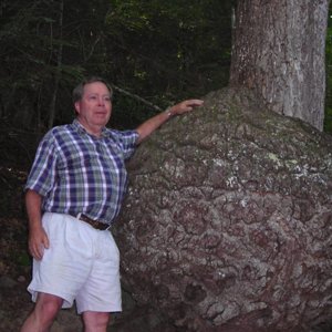 The big burl