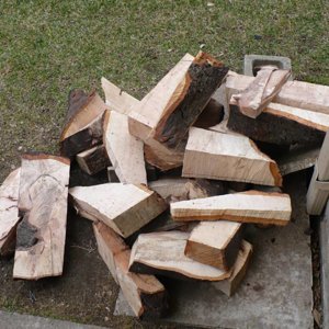 Pile of Pecan wood