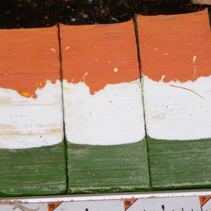 Irish Tricolor