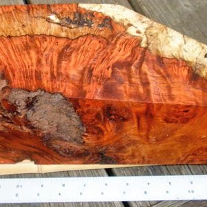 Amboyna Burl Side Bottom