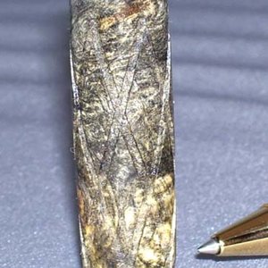 buck eye