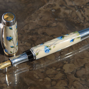 Collaborative pen with Dawn (Pr_Princess)
