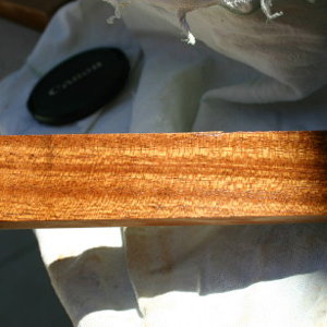 Sapele