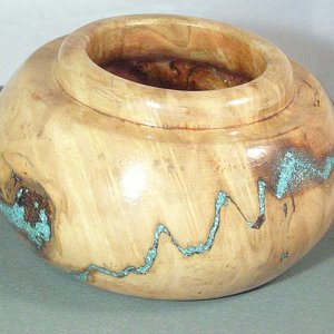 Eucalyptus Burl with Turquoise Inlay