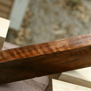 curly Walnut