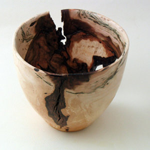 Maple Burl