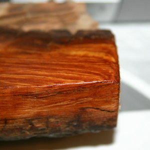 Cottonwood bark