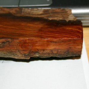 Cottonwood bark