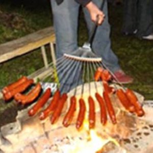 Hot dog roast