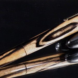 Calypso in Black and White Ebony