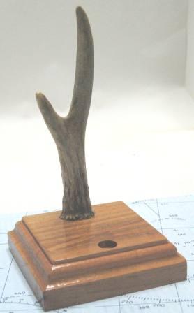 antler stand