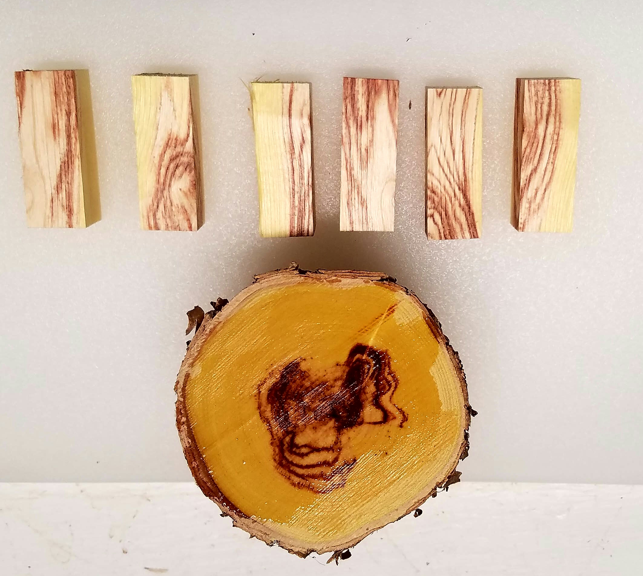 Anyone know what this is?