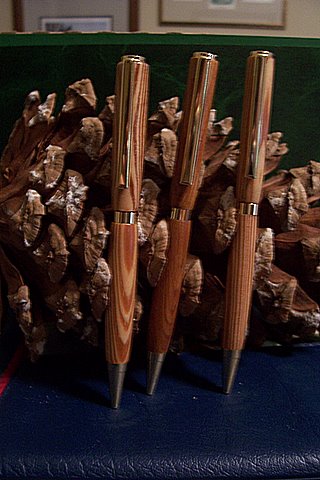 Ben's Longleaf Pine 1