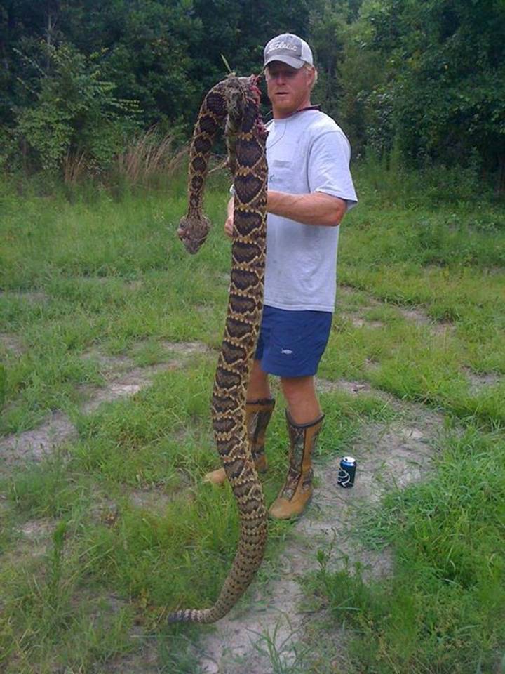 Big Snake