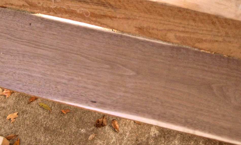 Black walnut