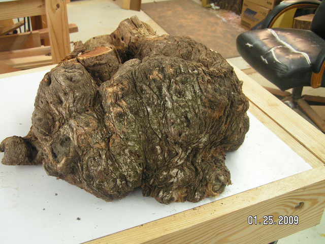 Burl two