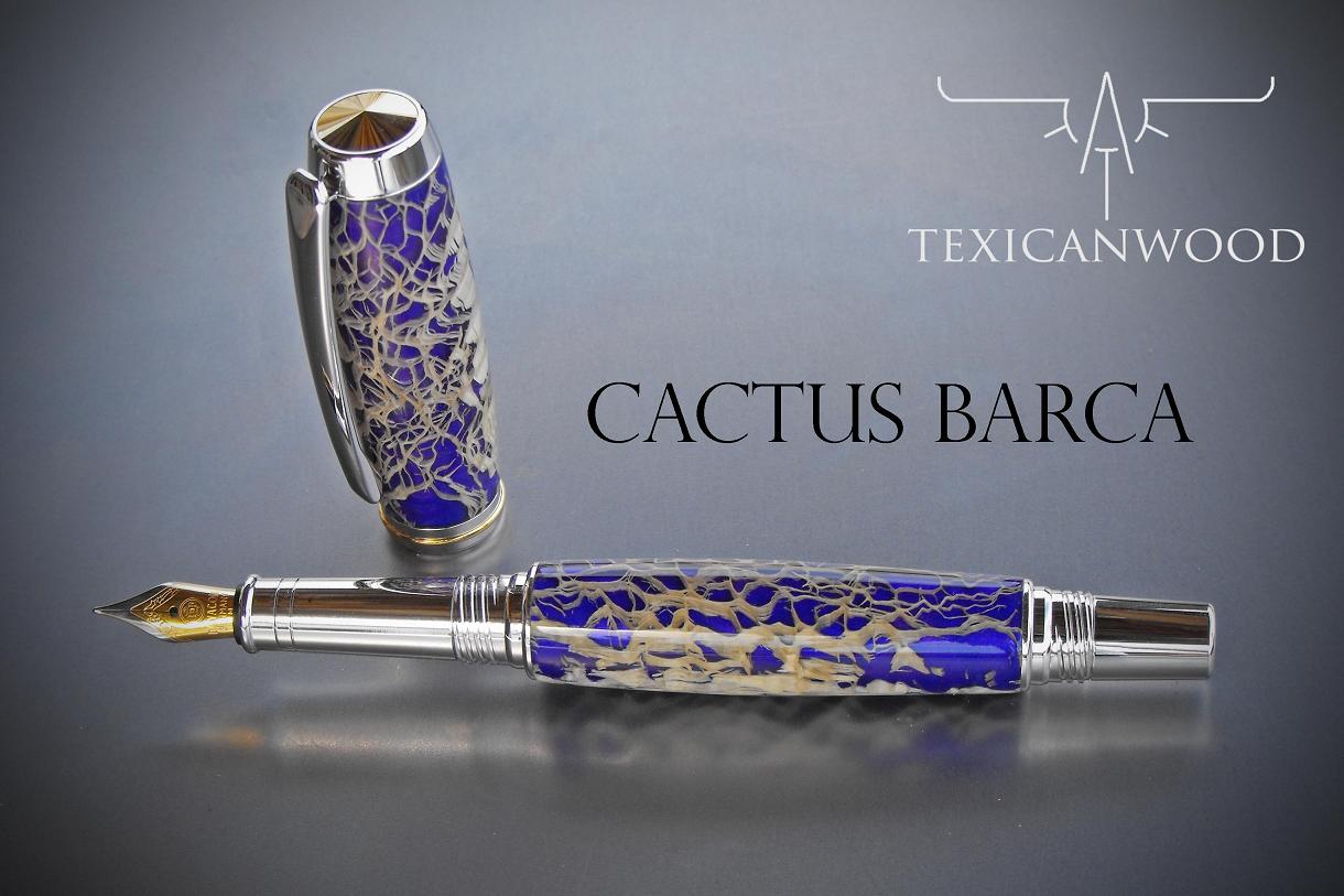 Cactus fountain Pen