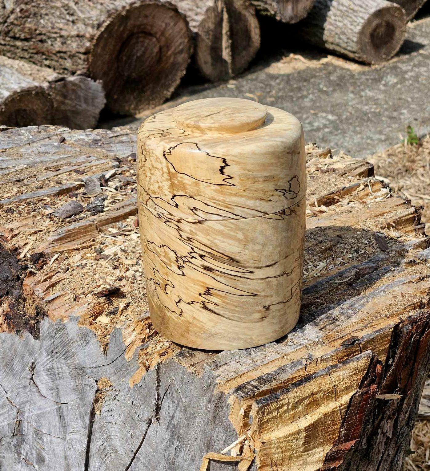 Canister 01b.jpg