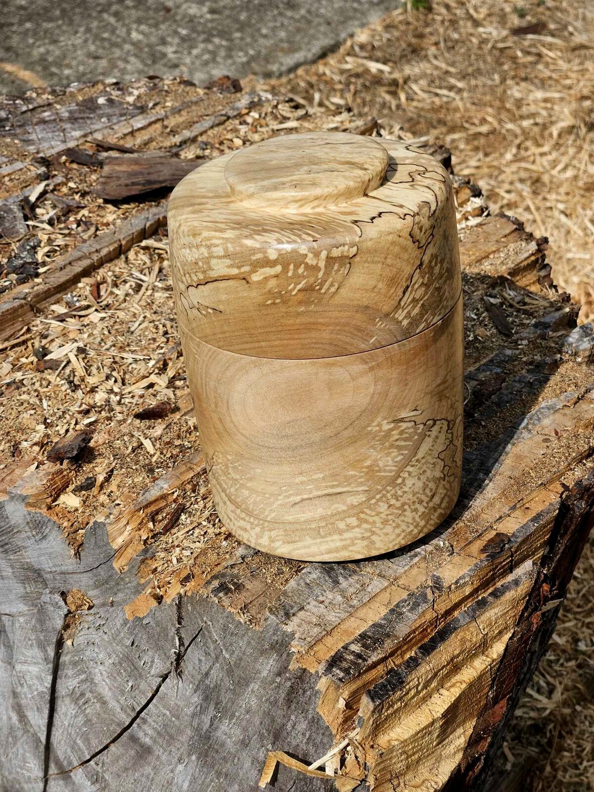 Canister 01c.jpg