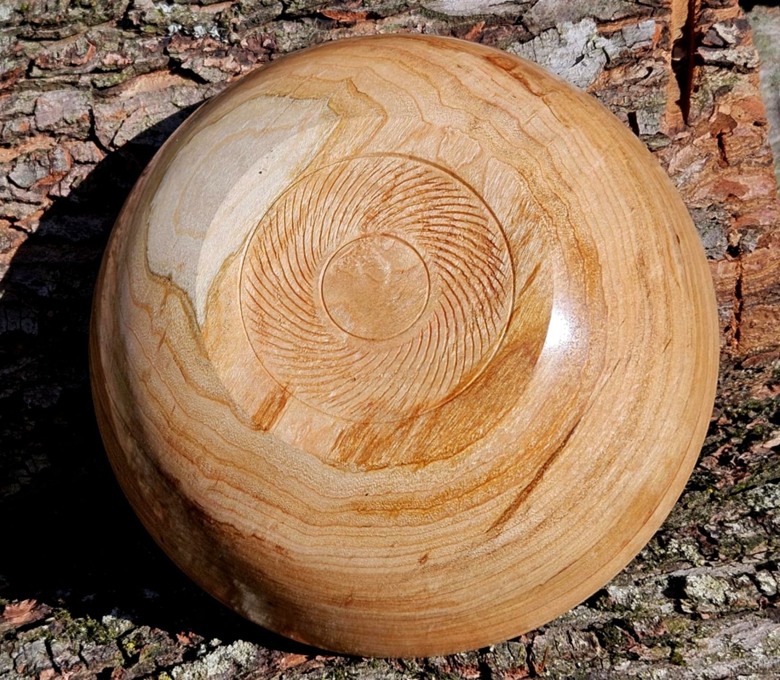 Cherry 015c.jpg