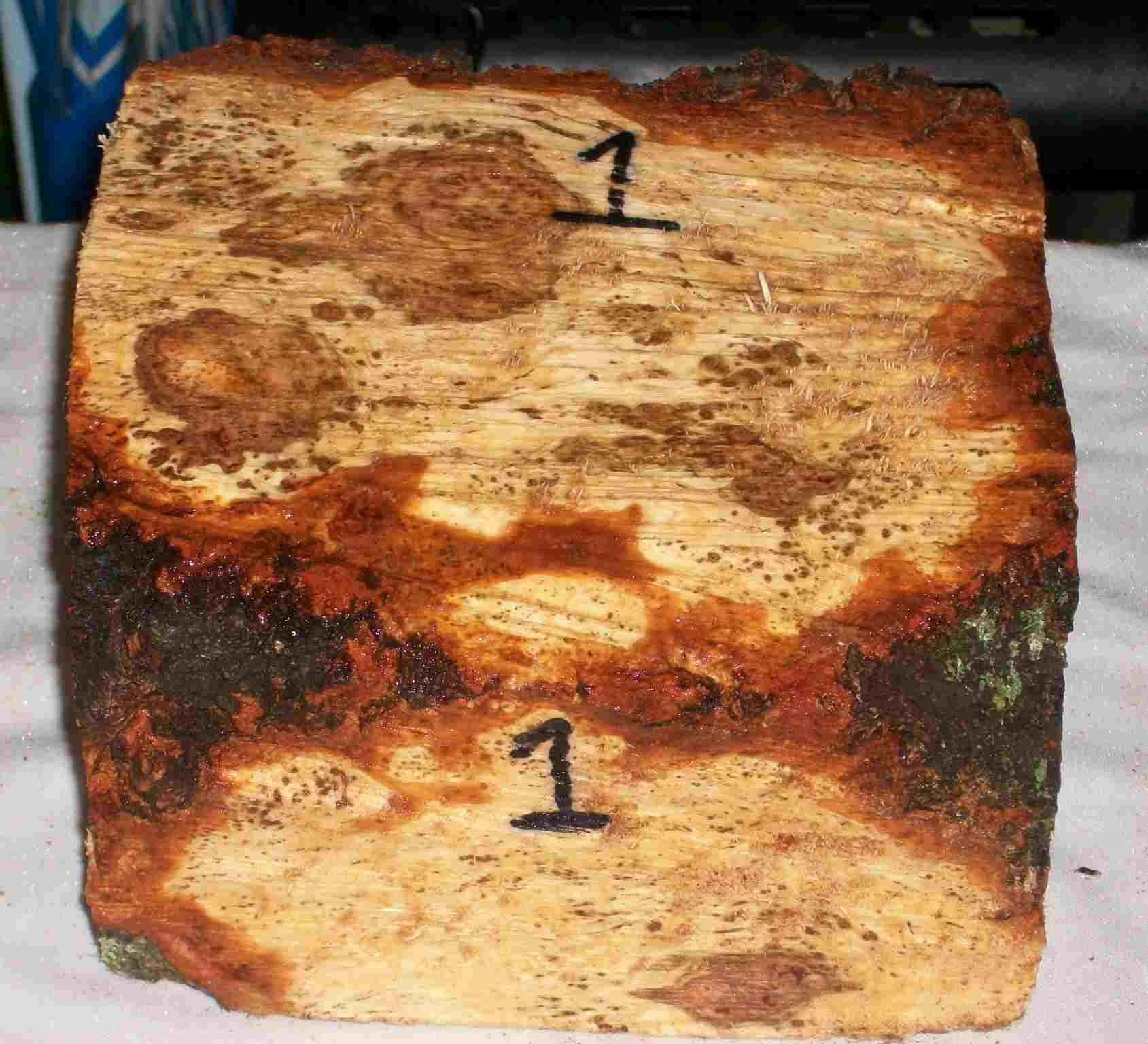 cherry burl